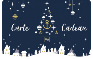 
			                        			Carte cadeau - Modèle Noël